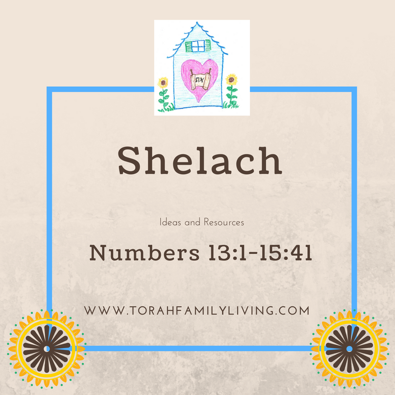 shelach