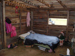 sukkot early 017