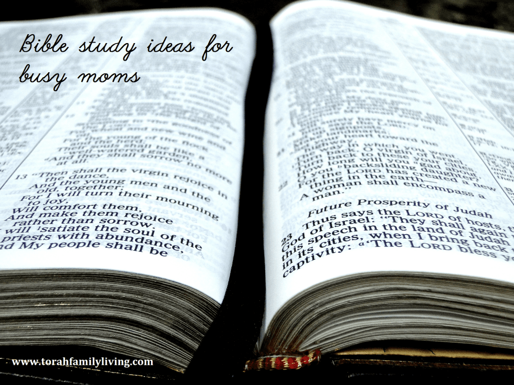 bible study ideas