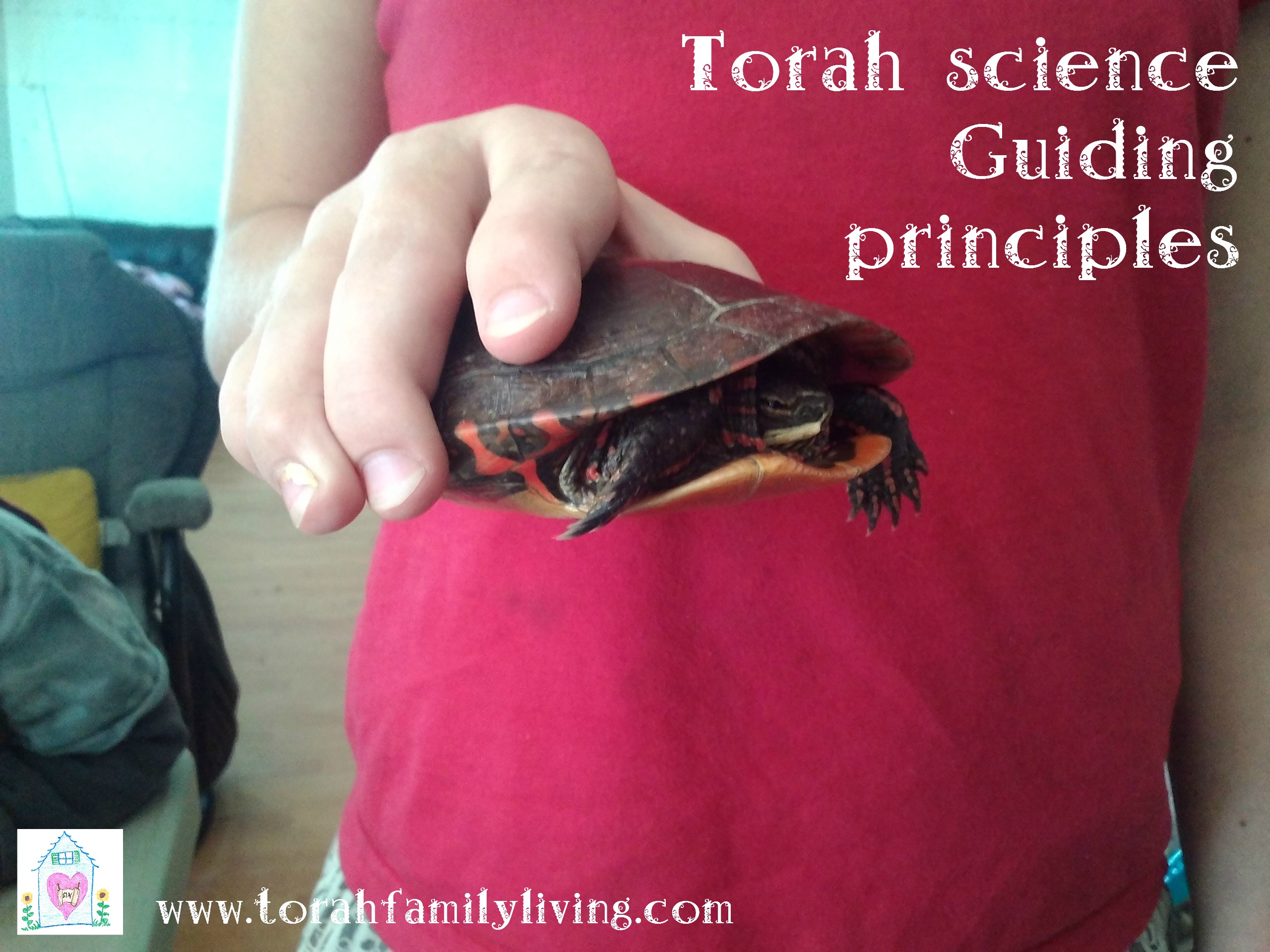 Torah science – guiding principles