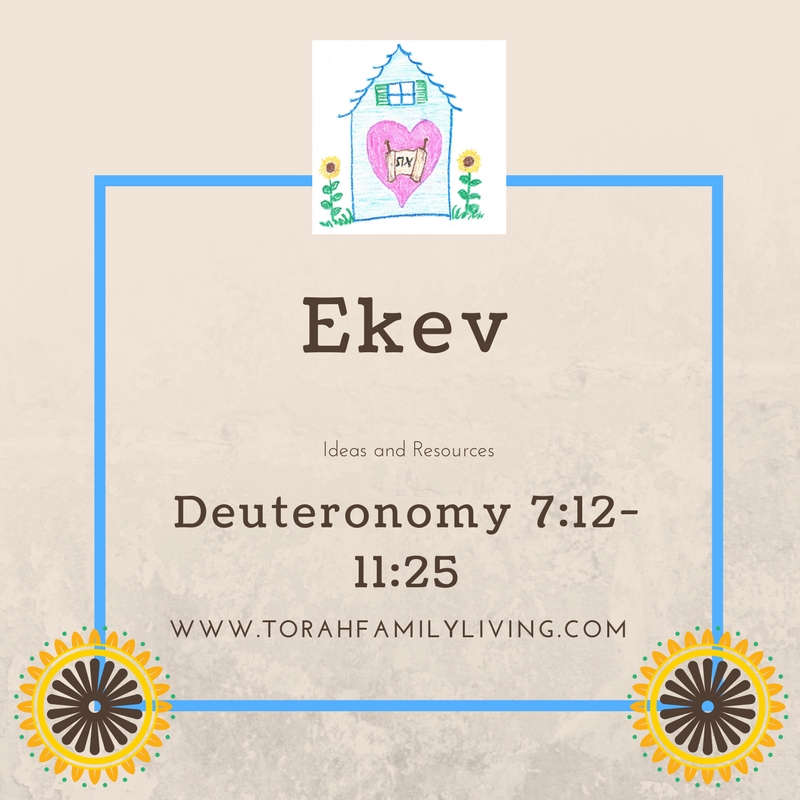 ekev