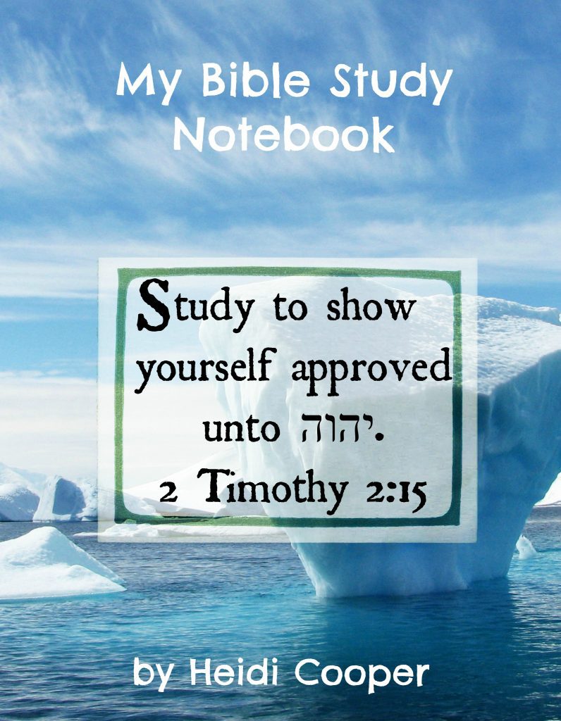 bible study
