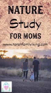 Nature study for moms | Creation has much to teach us about spiritual things.