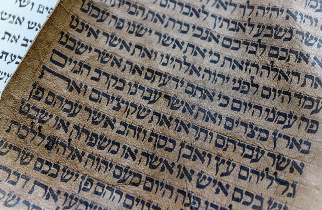 torah portions