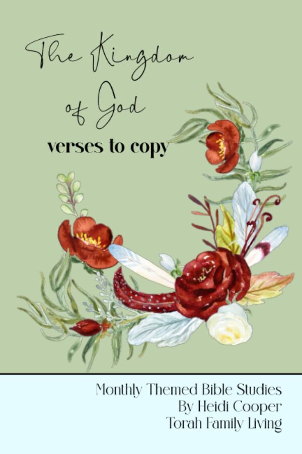 Scripture copywork books, choose your title - Image 5