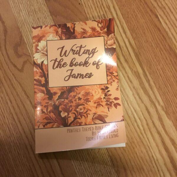 Scripture copywork books, choose your title - Image 12
