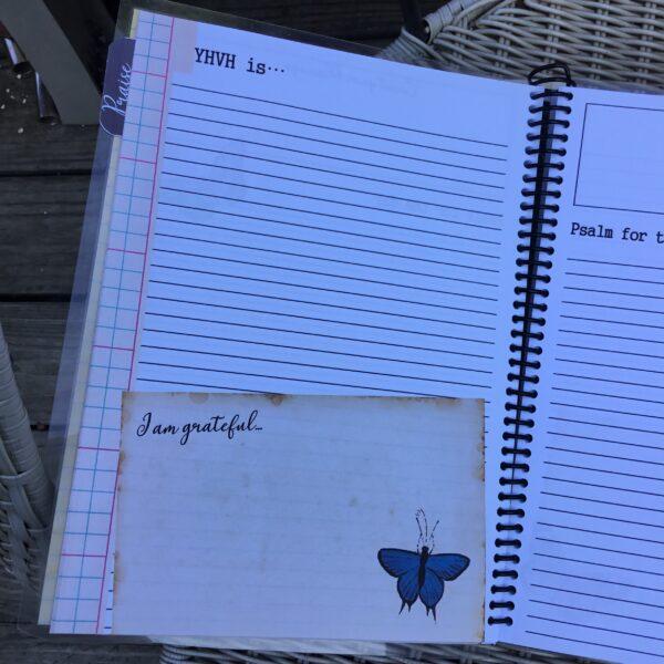 My Time with Adonai journal (butterfly) - Image 3
