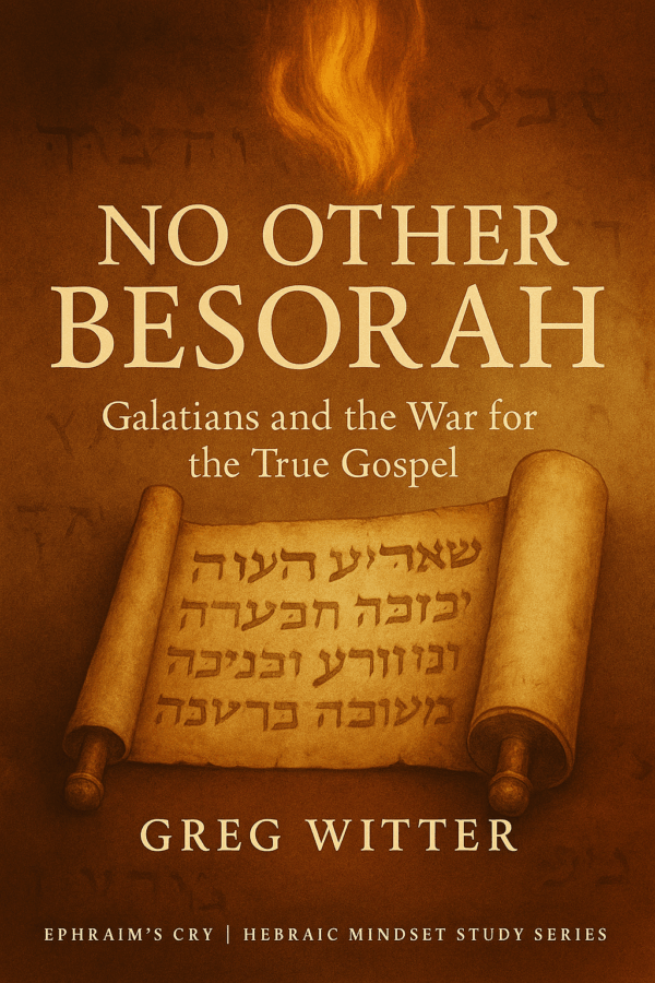 Galatians and the War for the True Gospel study guide