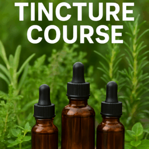 Faithful Remedies: Learning to Make Herbal Tinctures