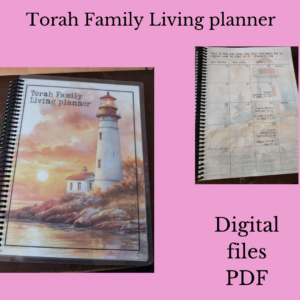 Build your own planner (Lighthouse)